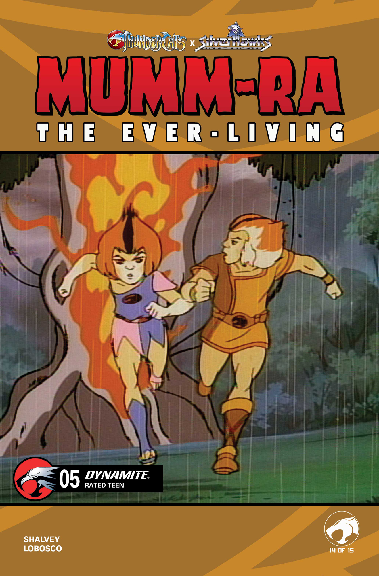 ANIMATION ART Variant