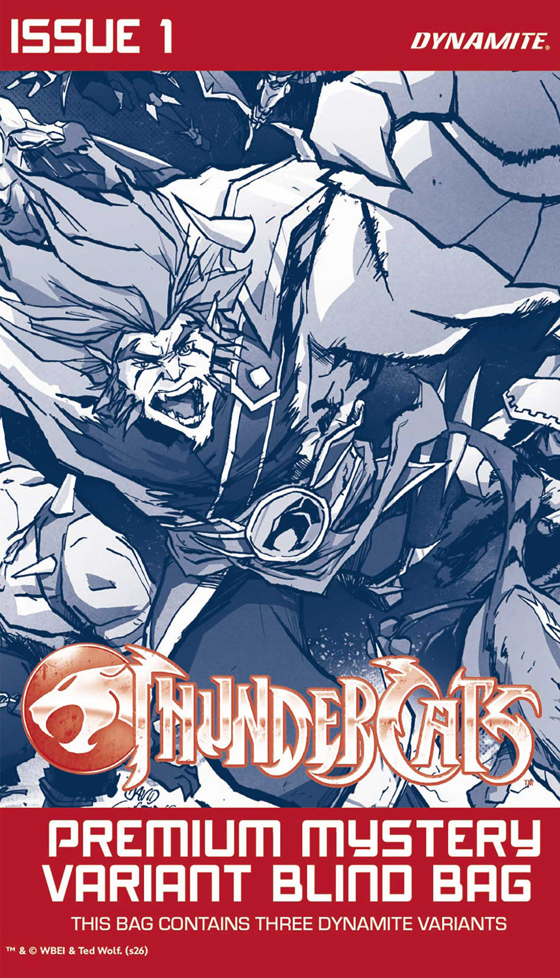 PREMIUM MYSTERY BLIND BAG Variant